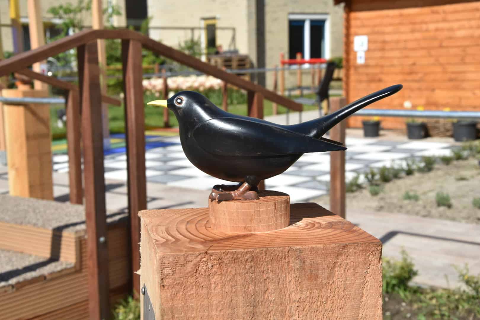 Belevingstuin Hoofddorp vogel